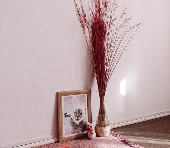 How to Set Up a Comfortable Pet-Friendly Home Corner